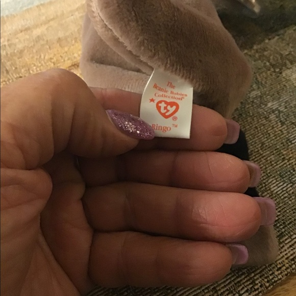 TY beanie Raccoon 🦝 Ringo hang tag in plastic NWT cute brown black . - Picture 5 of 7